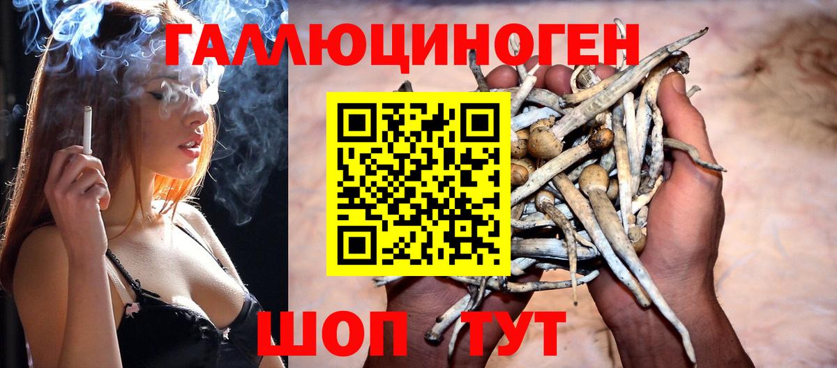 Галлюциногенные грибы MAGIC MUSHROOMS  Вход с VPN  Балашов  Галлюциногенные грибы прущие грибы 